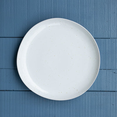 Stoneware dinnerware white plate large with dotted glaze (spots)